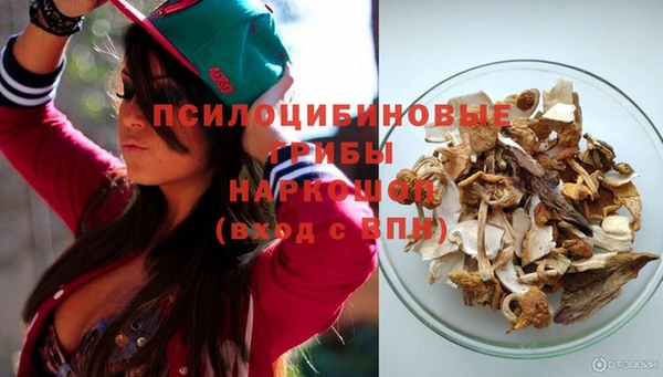 spice Баксан