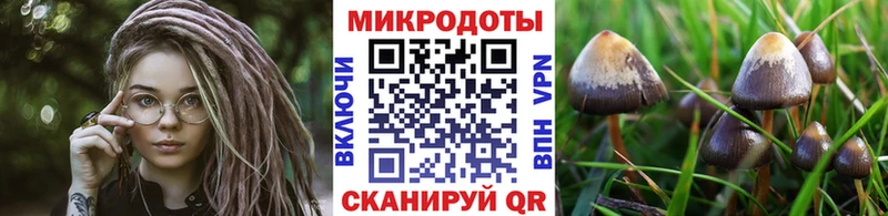 где найти наркотики  Севск  Галлюциногенные грибы ЛСД 